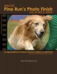 Nikon MACH3 Ad Comp #3