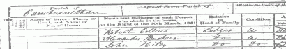 James Buchanan 1851 Census enumeration