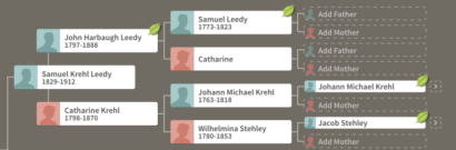 Ancestry Hints