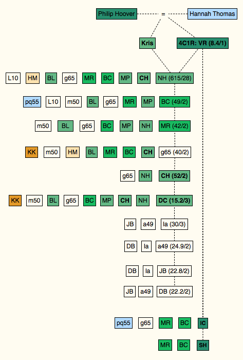 Ancestry circle shared matches