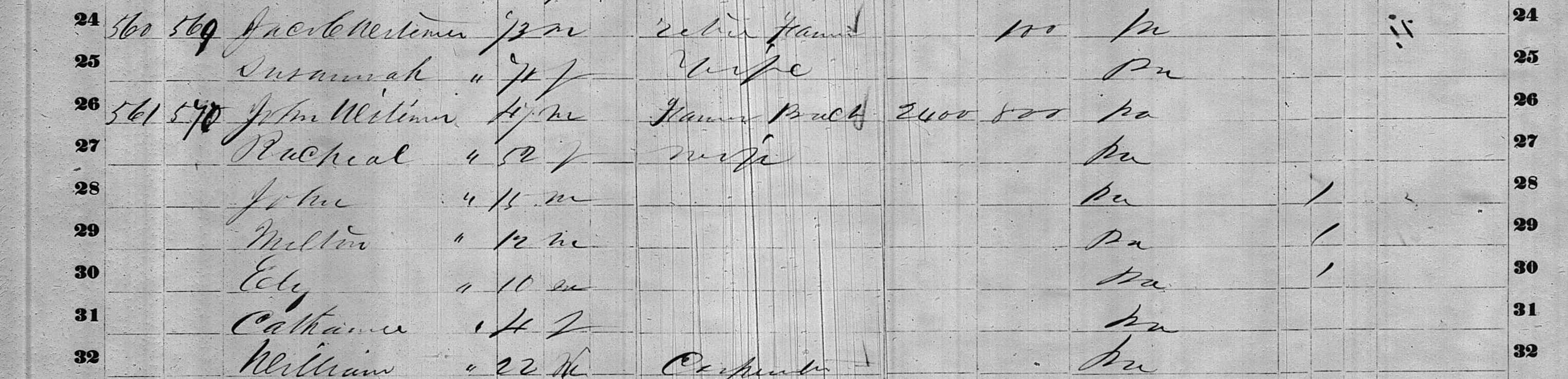 1860 John Witmer census
