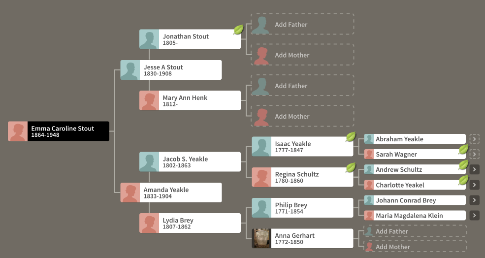 Emma Stout pedigree