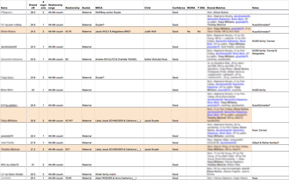 Snyder DNA match spreadsheet