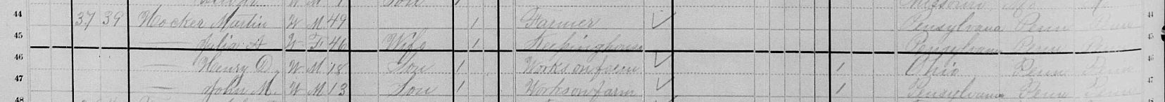 1880 Martin Hocker census record