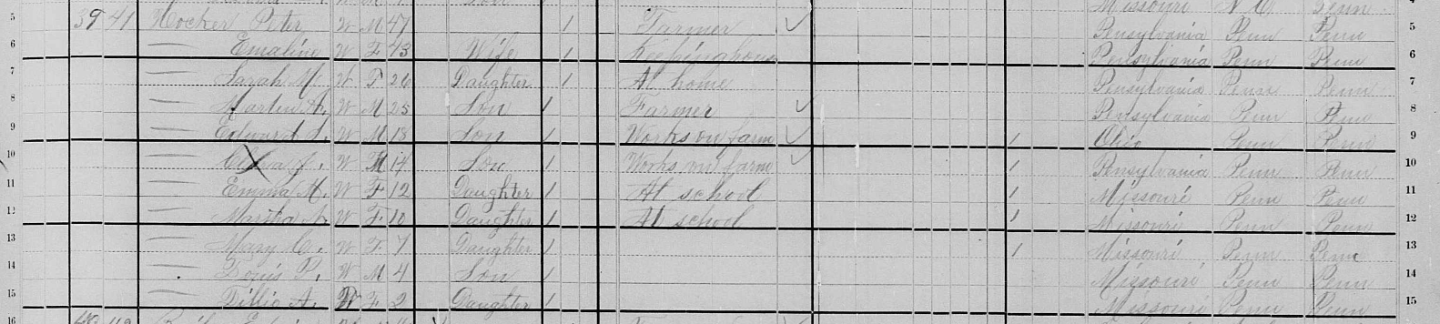 1880 Peter Hocker census record