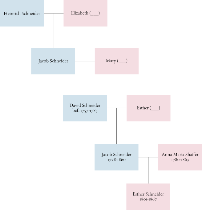 Esther Schneider's ancestry