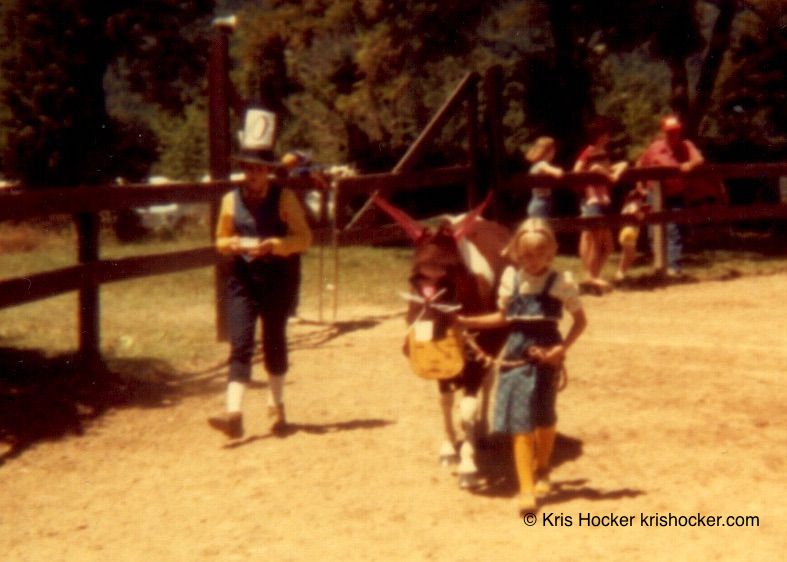 1980 Mad Hatter Costume Class