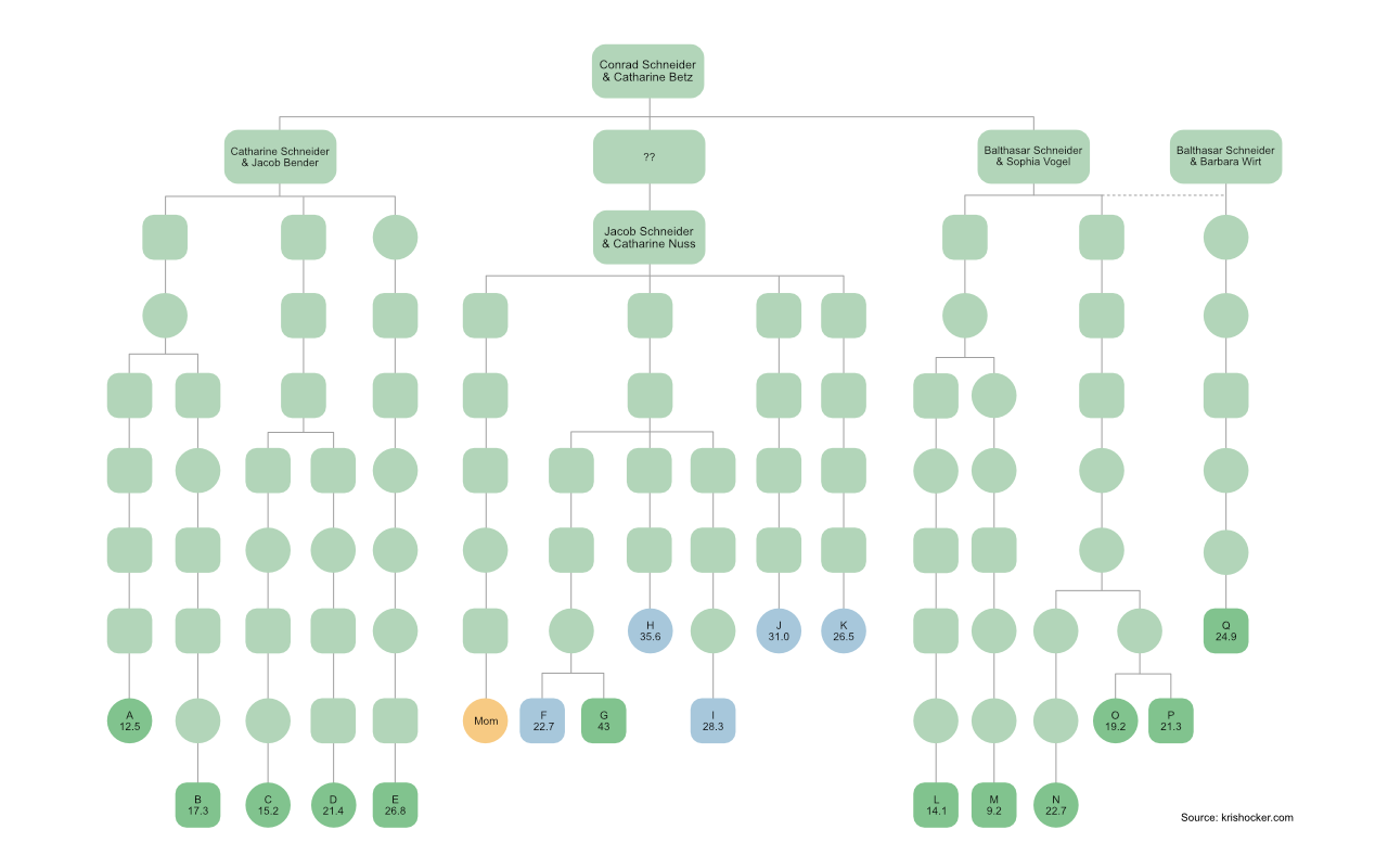 Snyder DNA chart