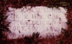 William J. Greulich (1919-1919)