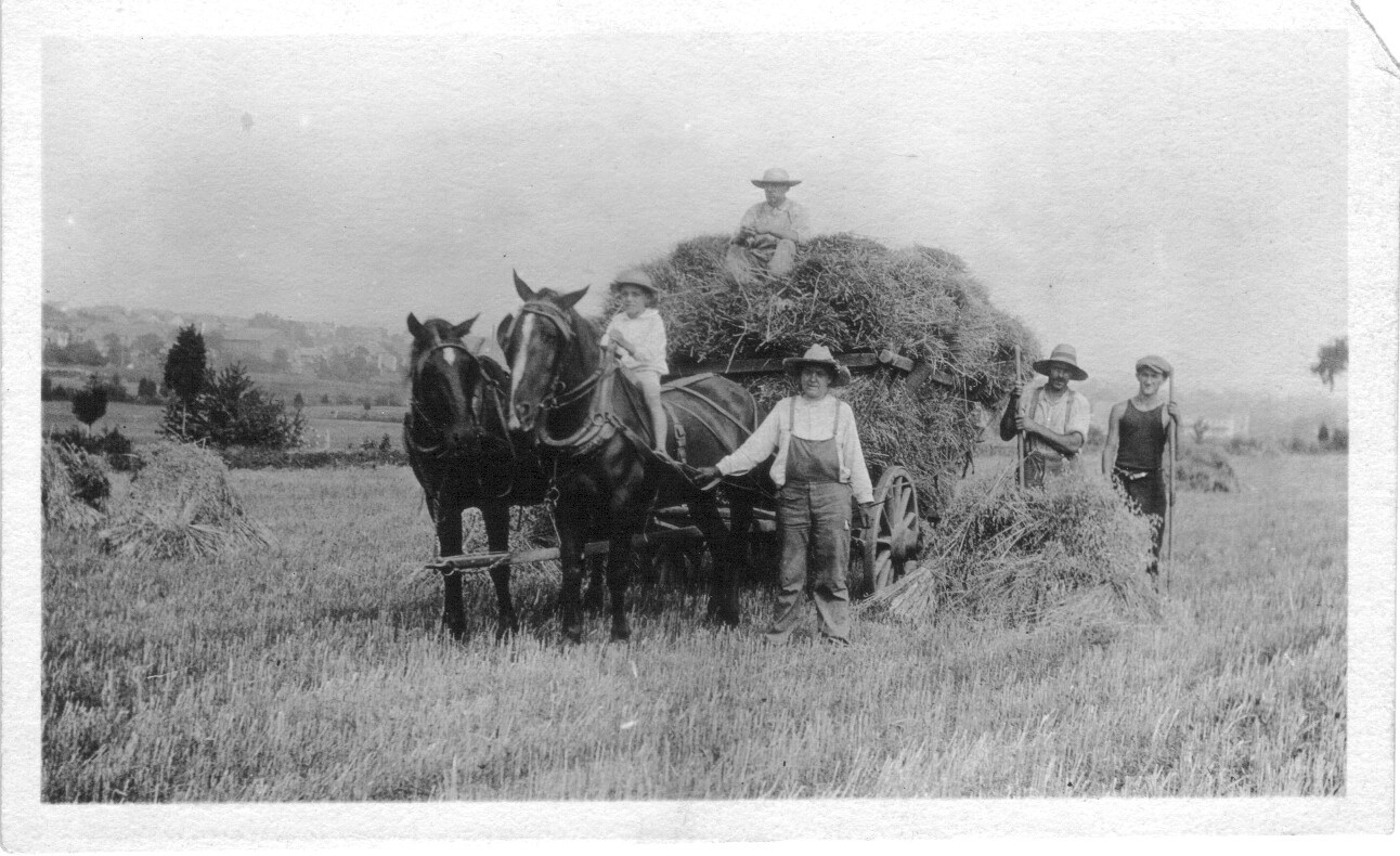 Russ Greulich haying at farm