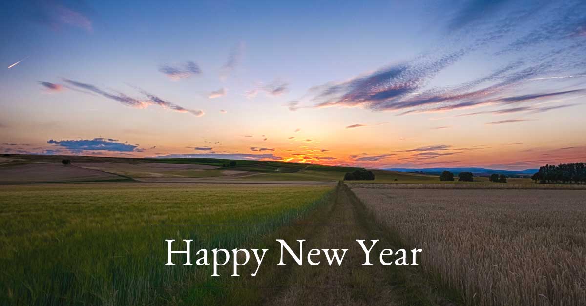 Happy New Year Dawn photo