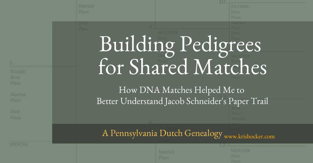 Building Pedigrees for Shared Matches