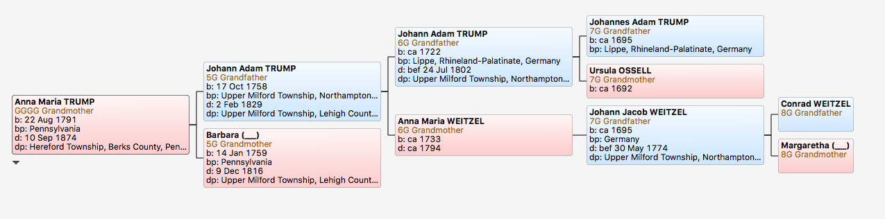 Anna Maria Trump's pedigree