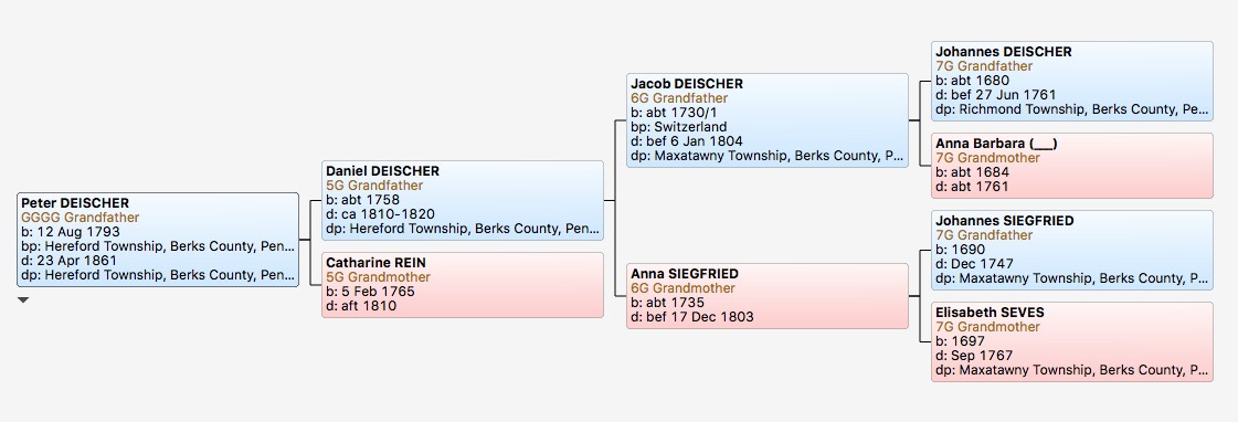 Peter Deischer's pedigree