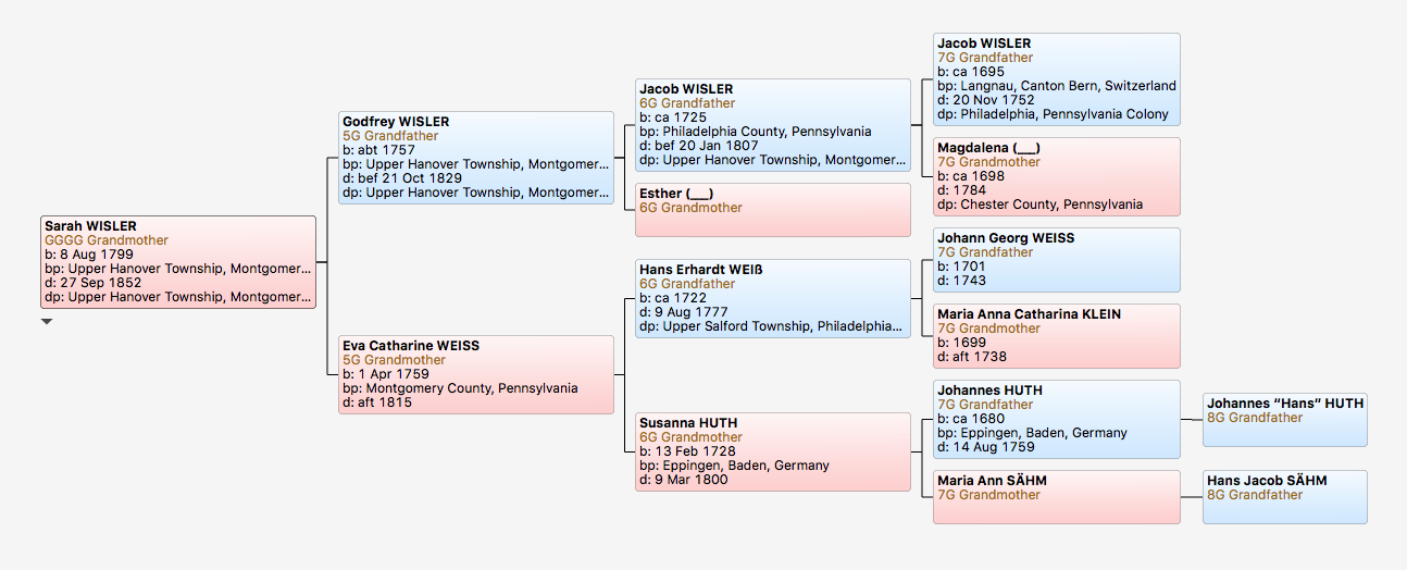 Sarah Wisler Snyder's pedigree